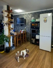 Продам 3 дома +1 в подарок