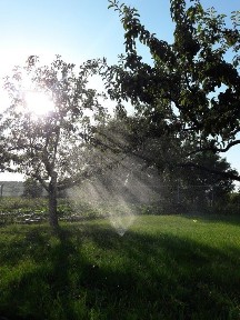Дніпропетровська область, Андріївка