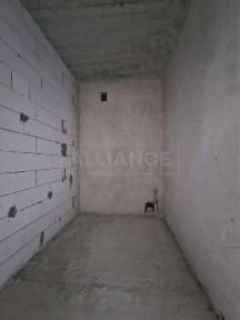 Івано-Франківська область, Івано-Франківськ