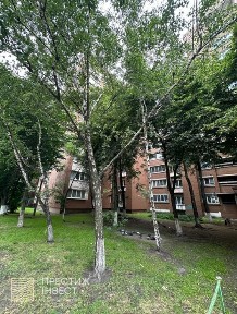 Київська область, Київ, Голосіївський