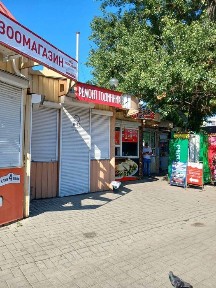 Здам кіоск 11 кв. м на старій автостанції Полтави