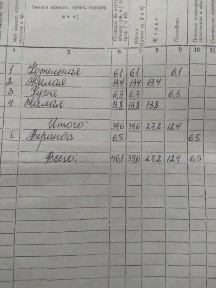 Продам будинок в с. Сковородинівка