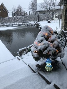 Оренда будинку, камін баня мангал більярд