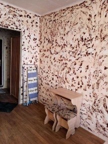 Київська область, Київ, Голосіївський