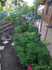 Элитный эко-дом из натурального дерева, 3 спальни, скважина Н. Дафиновка