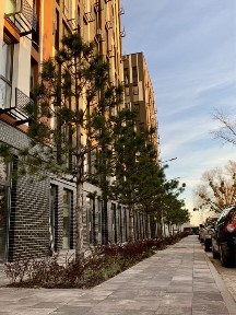 1-кімнатна 29,4 кв. м. в ЖК «ATRIA CITY. TEREMKY” (Атріа Сіті. Теремки)