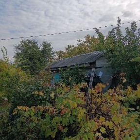 Сдам дачний домик в городе можно под склад вещей. Вода и туалет во дво