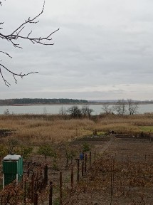 Продам будинок біля лісу і ставка