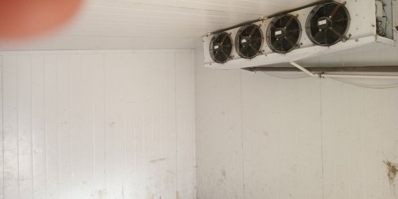 Холодильная камера +5/-18