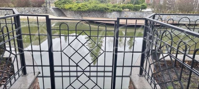 Київська область, Козин