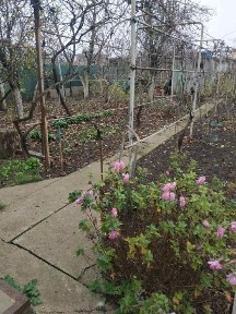 Эксклюзивная продажа дома в с/о Волна, пригород Черноморска