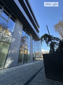 Здається комерційне приміщення на вул. Підградська, площа 29 кв. м • ID 33651844