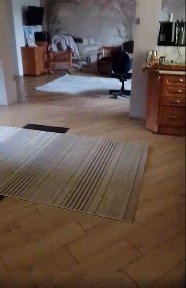 Житомирська область, Житомир, Максютова