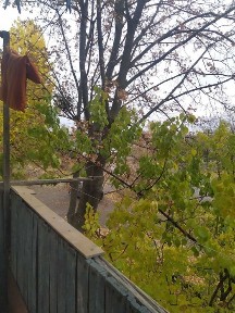 Продам 3-комнатную квартиру площадью 92 м².