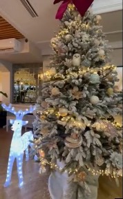 Оренда будинку Новий рік корпоративи за устріч з друзями Таїрова