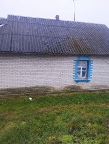 Будинок 69 кв. м. 65 соток землі