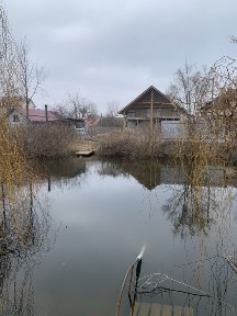 Київська область, Київ, Дарницький