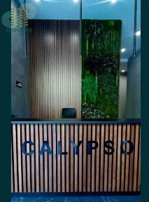 Студия у моря‼️ ЖК Калипсо‼️13 ст. Фонтана! Аналогов нет‼️