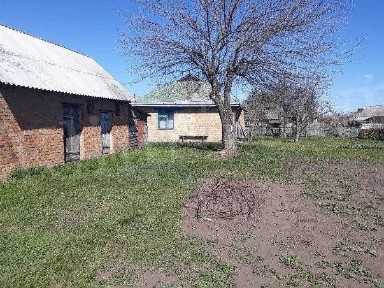 Продається будинок у центрі с. Циблі