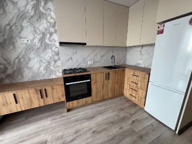 Дніпропетровська область, Дніпро, Шевченківський