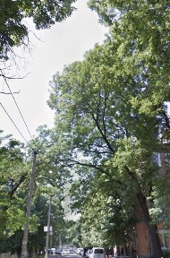 Нова ціна Прожаж комер. прим. Герцена 54м2 на початку ближче до Головноі