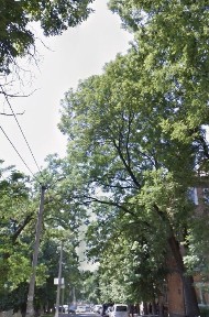 Нова ціна Прожаж комер. прим. Герцена 54м2 на початку ближче до Головноі