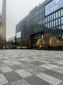 Київська область, Київ, Шевченківський