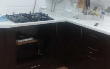 Продаж 2 поверхового будинку з садом та ділянкою /Код 374