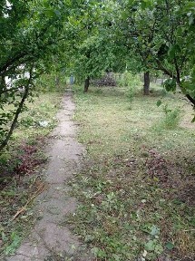 Земельна ділянка та частина будинку