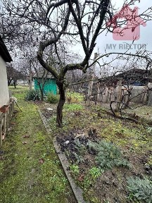 Закарпатська область, Ужгород