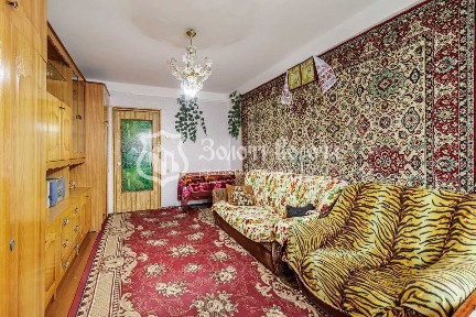 Киевская обл., Киево-Святошинский район, с. Софиевская Борщаговка, Соборная ул., 57А