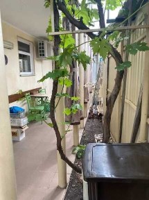 Продам часть дома на 7 ст. Б.Фонтана.