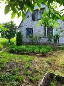 Продам дом (дачу) с большим готовым садом и участком с. Знаменовское