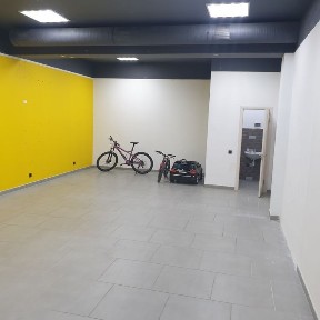 Волинська область, Липини