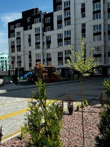 Львівська область, Львів, Сихівський