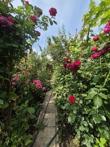 Будинок, р-н Кущівка, 50м2