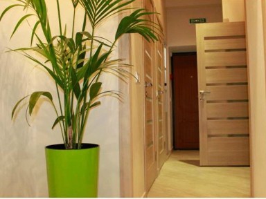 Продаж хостел нежитлове приміщення вул. Шептицьких