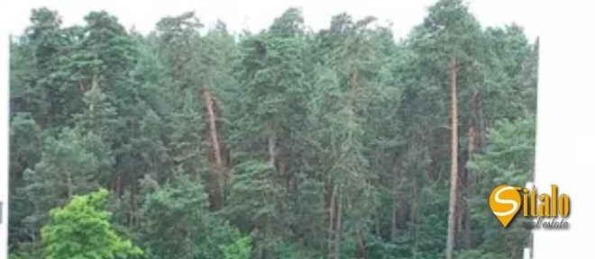 Продажа 1-комнатной квартиры 40 м², Полесская ул.