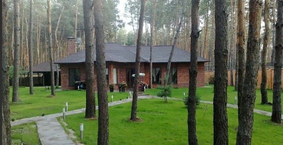 Продаж будинку мрії в сосновому лісі - с. Піщанка