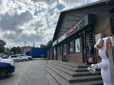 Дніпропетровська область, Кам'янське