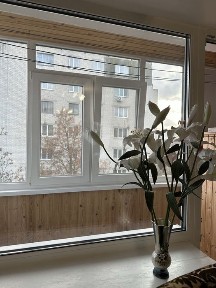 Двухкомнатная квартира. Левка Лукьяненко.