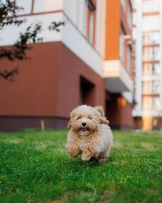 3-кімнатна у ЖК по вул. Коновальця, 10 хв до Центру!