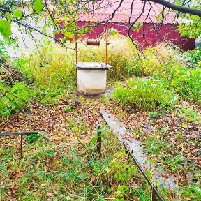 Дачний будинок з місцевою пропискою