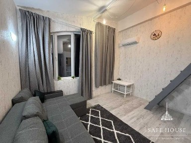 Київська область, Софіївська Борщагівка