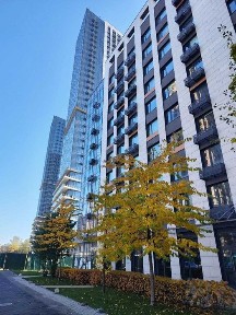 Київська область, Київ, Голосіївський