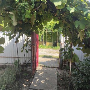 Літній будинок на продаж, житловий стан 5 км від міста! Видрові Доли