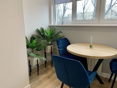 Здам 2 кімнатну квартиру (євродвушка), Центр, ЖК «Луч»