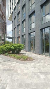 Київська область, Київ, Шевченківський