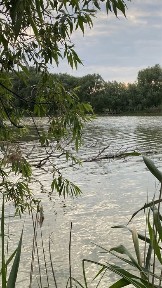 Будинок біля води, Обухівський р-н