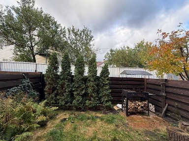 Таунхаус оренда інвентор, сонячні панелі Без комісії